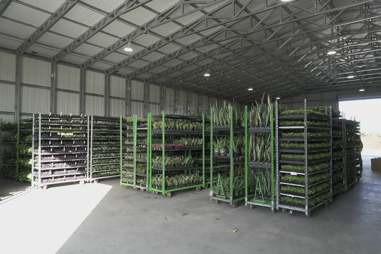 Commercial Warehouse Steel Building