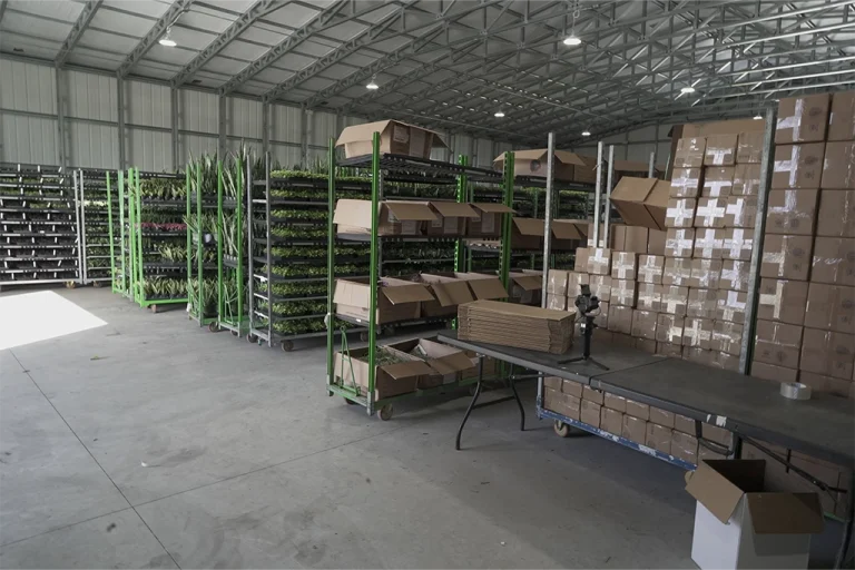 Commercial Warehouse Steel Building